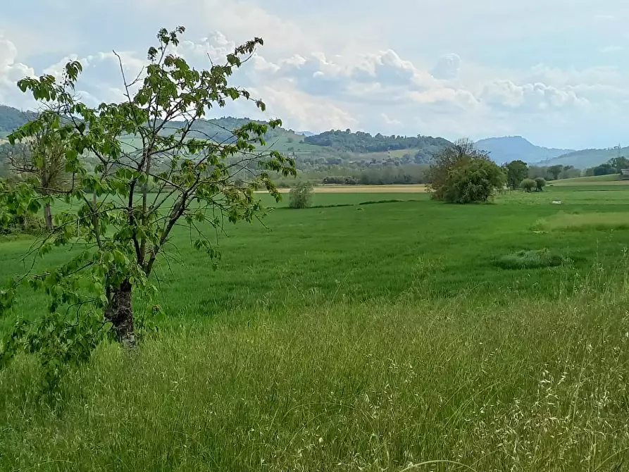 Immagine 6 di Casa semindipendente in vendita  in via Volpi a Falerone