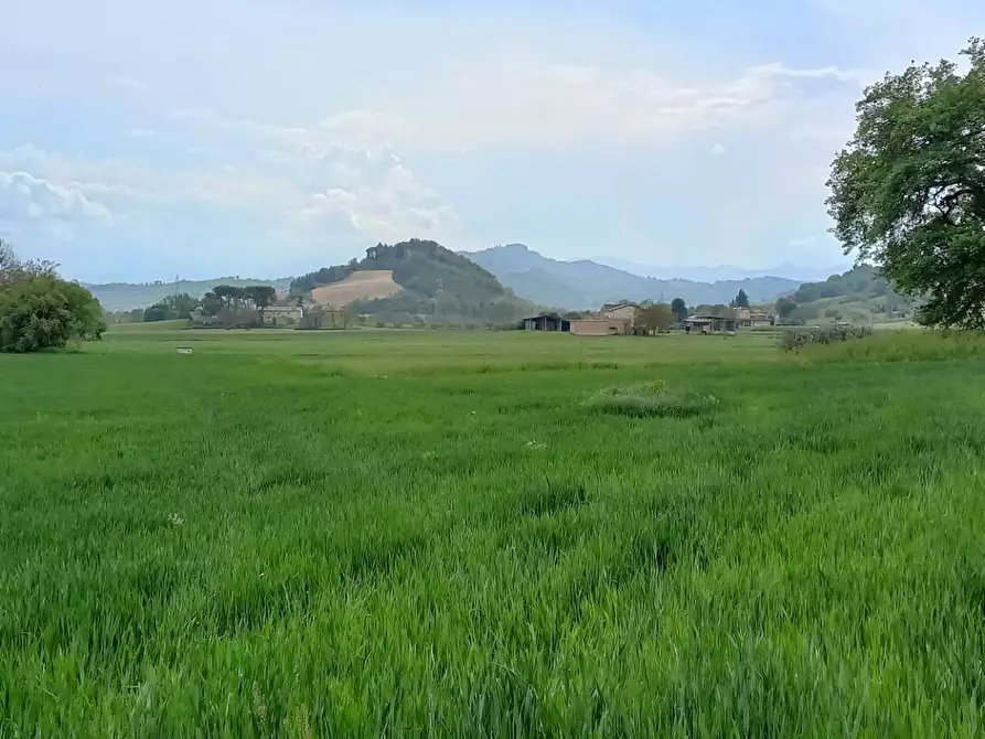 Immagine 7 di Casa semindipendente in vendita  in via Volpi a Falerone