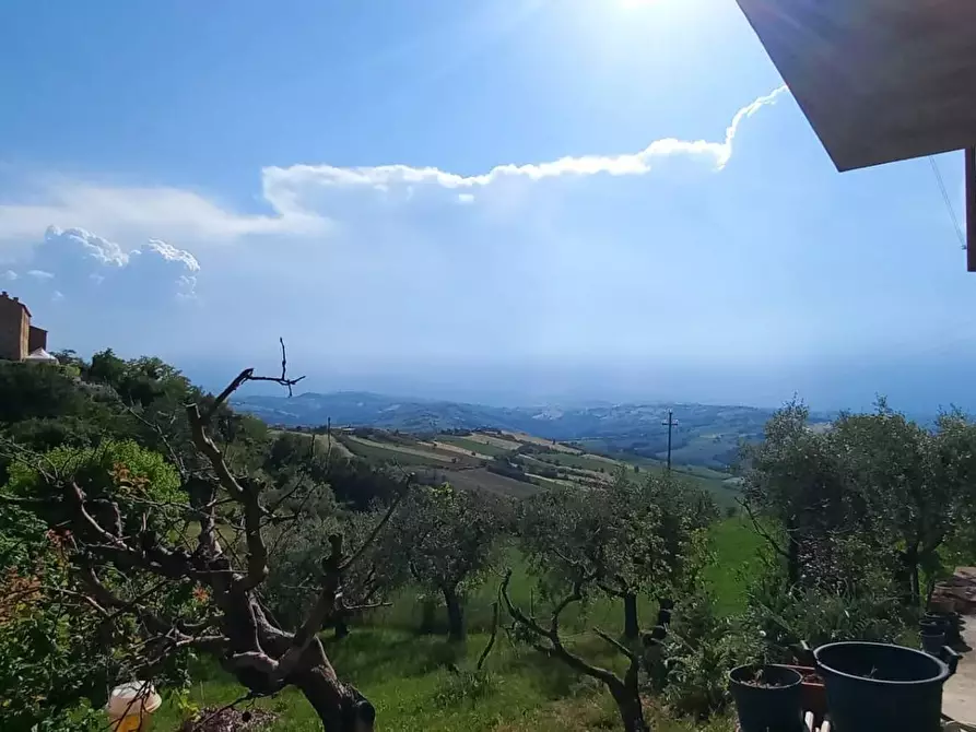 Immagine 22 di Casa indipendente in vendita  in Giacomo Brodolini a Montappone