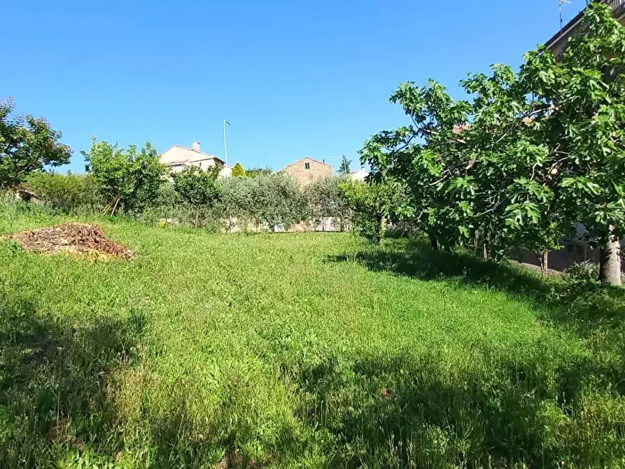 Immagine 25 di Casa indipendente in vendita  in Giacomo Brodolini a Montappone