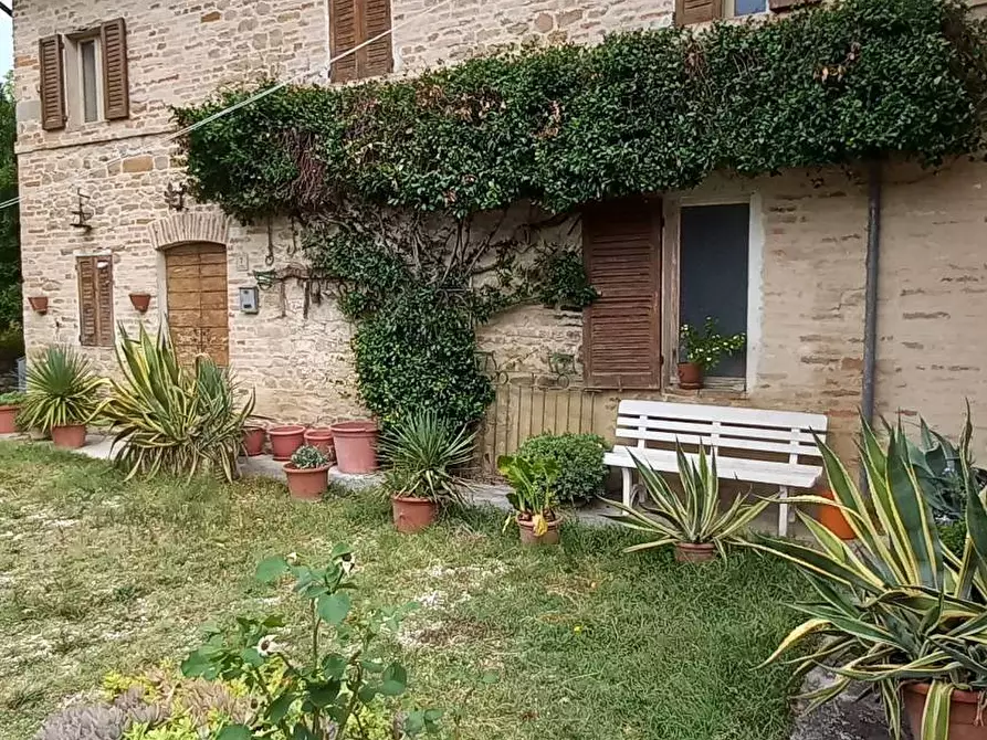 Immagine 4 di Casa indipendente in vendita  in san Filippo a Servigliano