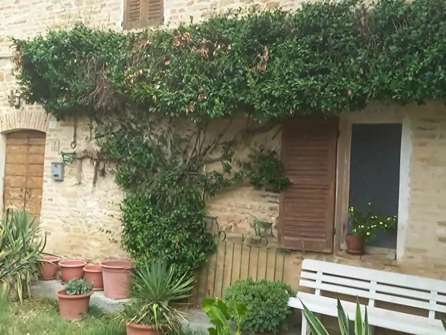 Immagine 6 di Casa indipendente in vendita  in san Filippo a Servigliano
