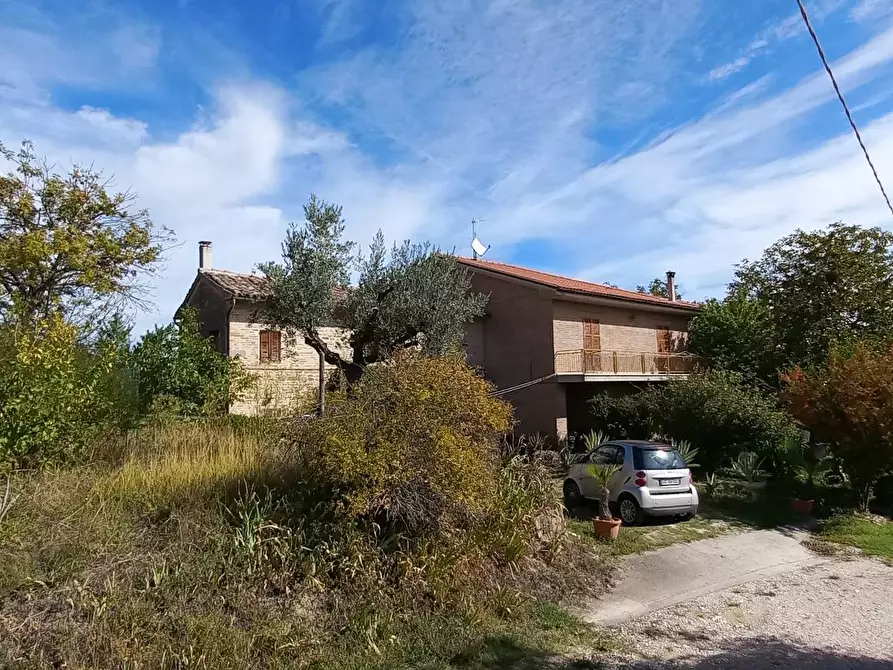 Immagine 3 di Casa indipendente in vendita  in san Filippo a Servigliano