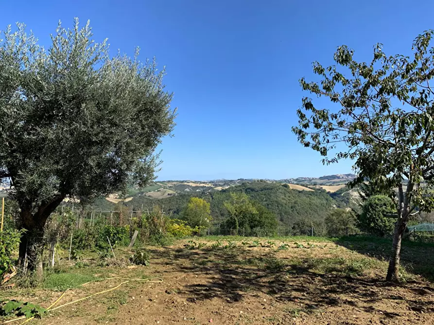 Immagine 22 di Casa indipendente in vendita  a Montappone