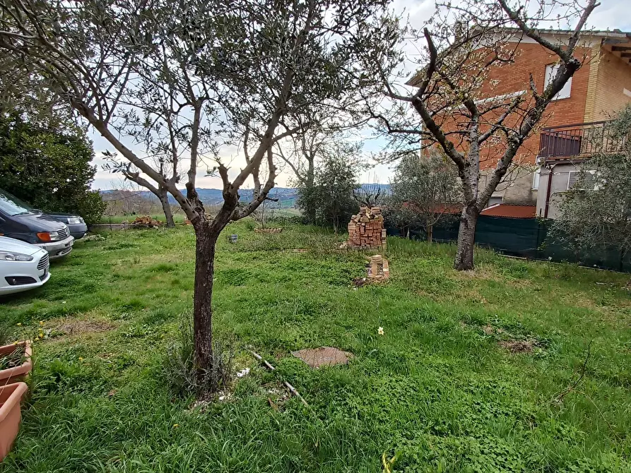 Immagine 28 di Casa indipendente in vendita  in contrada san pietro a Monte Vidon Corrado
