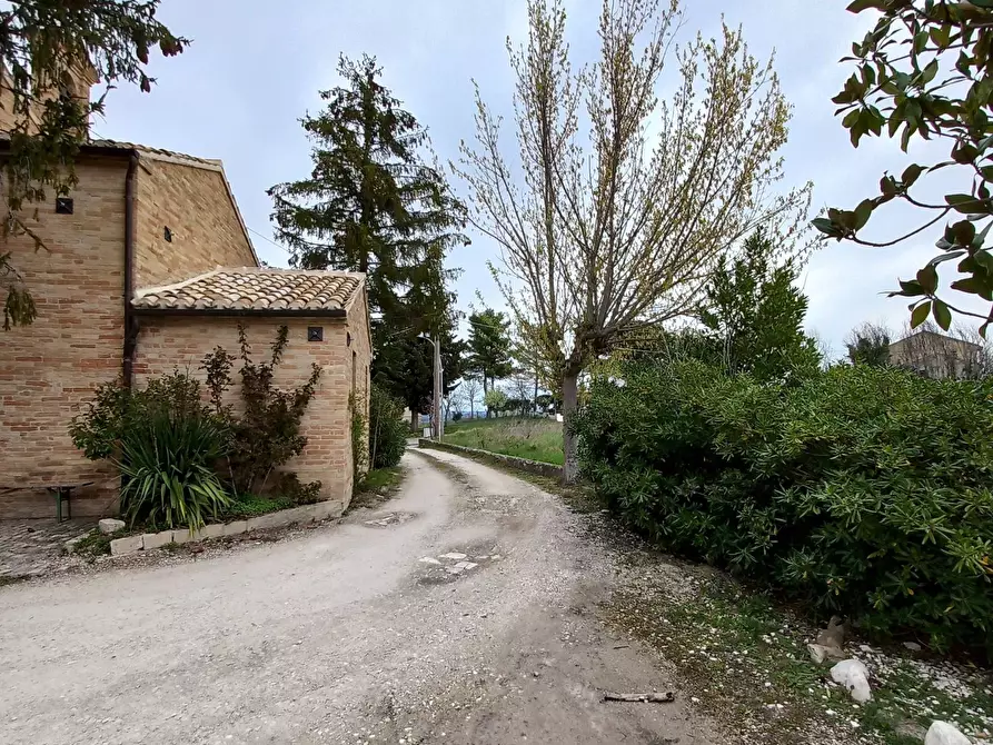 Immagine 27 di Casa indipendente in vendita  in contrada san pietro a Monte Vidon Corrado