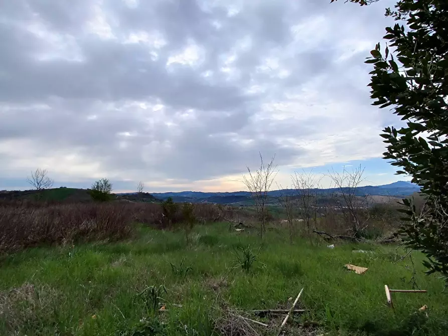 Immagine 29 di Casa indipendente in vendita  in contrada san pietro a Monte Vidon Corrado
