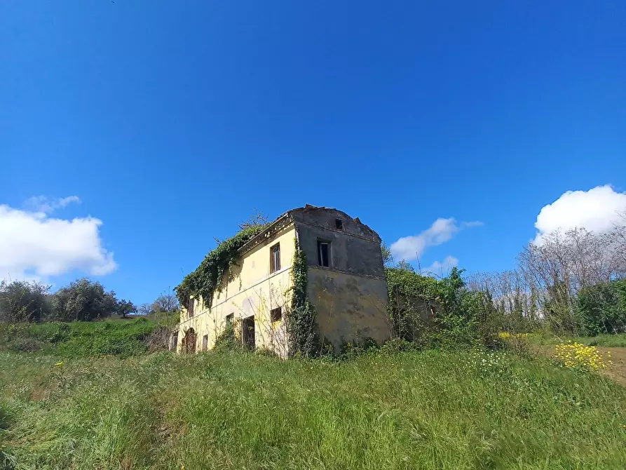 Immagine 4 di Casa indipendente in vendita  in Contrada Santa Susanna a Montegiorgio