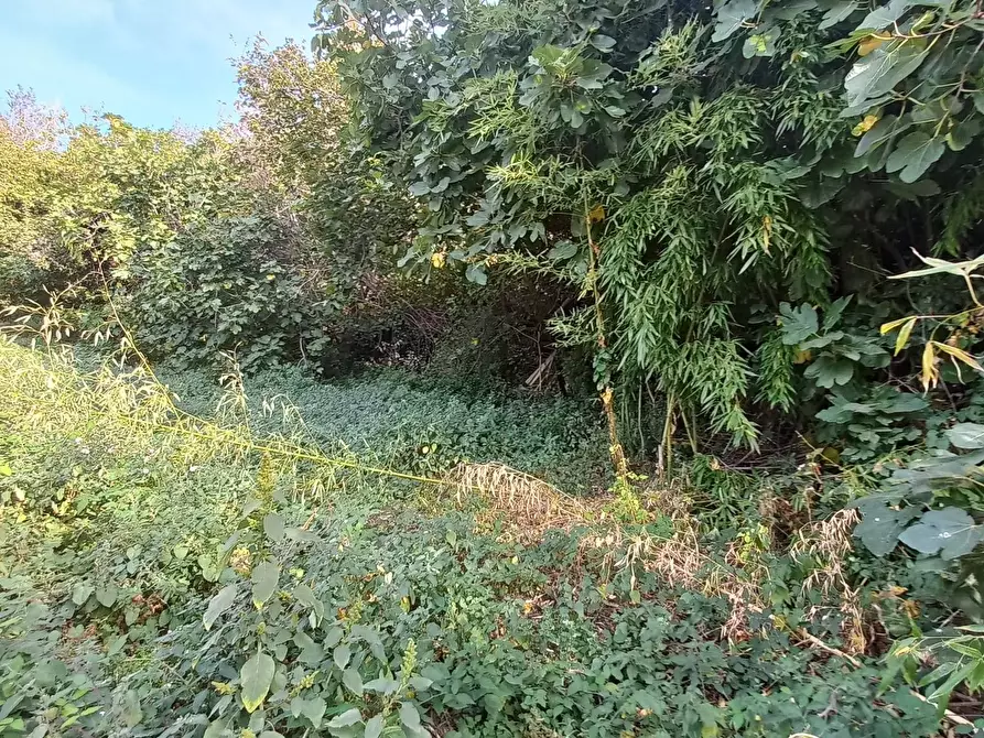 Immagine 21 di Casa indipendente in vendita  in via Monteverde a Montegiorgio