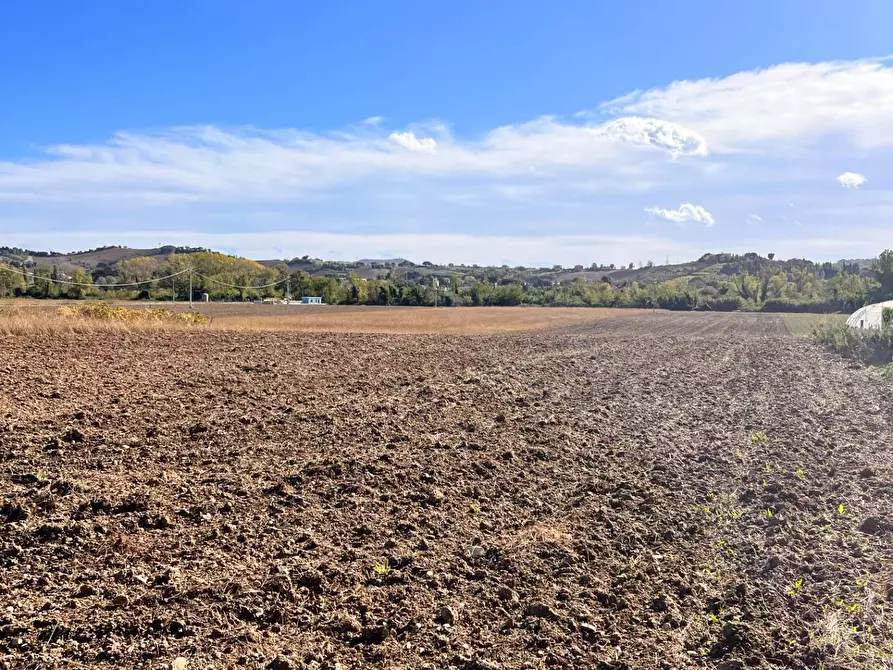 Immagine 1 di Terreno agricolo in vendita  in Via Tenna a Magliano Di Tenna