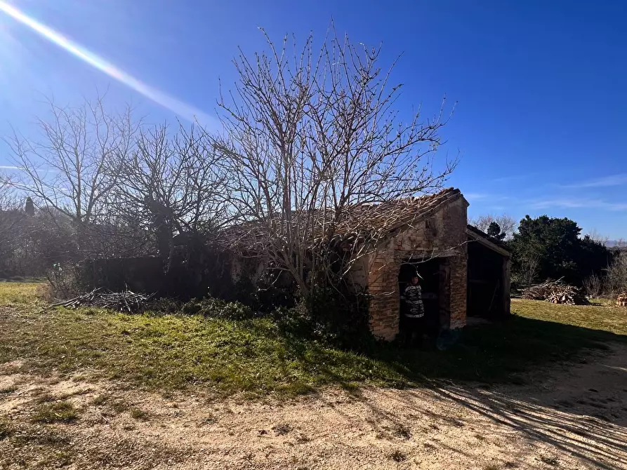 Immagine 6 di Casa indipendente in vendita  in castello di Montefiore a Recanati