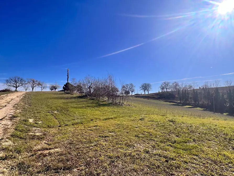 Immagine 24 di Casa indipendente in vendita  in castello di Montefiore a Recanati