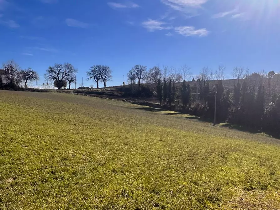 Immagine 27 di Casa indipendente in vendita  in castello di Montefiore a Recanati