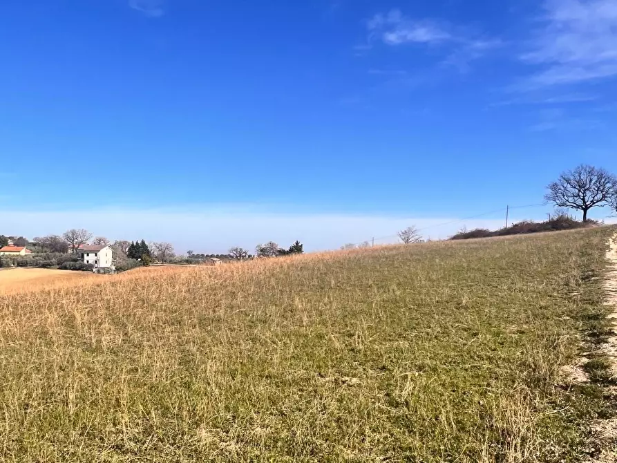 Immagine 30 di Casa indipendente in vendita  in castello di Montefiore a Recanati