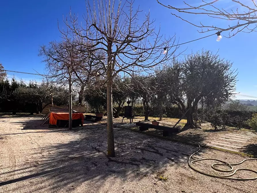 Immagine 4 di Attività commerciale in vendita  in c.da Montefiore a Recanati