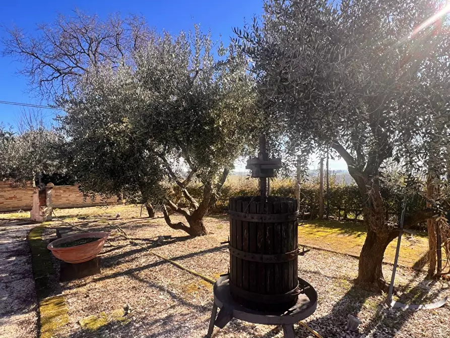 Immagine 5 di Attività commerciale in vendita  in c.da Montefiore a Recanati