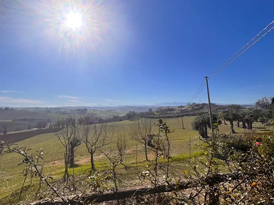 Immagine 3 di Attività commerciale in vendita  in c.da Montefiore a Recanati