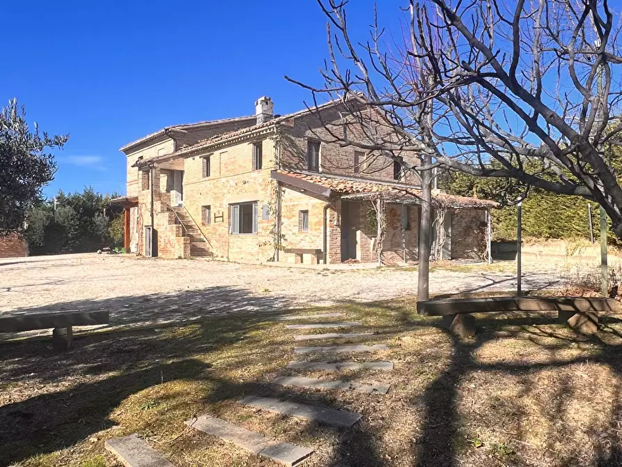 Immagine 9 di Attività commerciale in vendita  in c.da Montefiore a Recanati