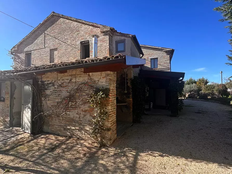 Immagine 10 di Attività commerciale in vendita  in c.da Montefiore a Recanati