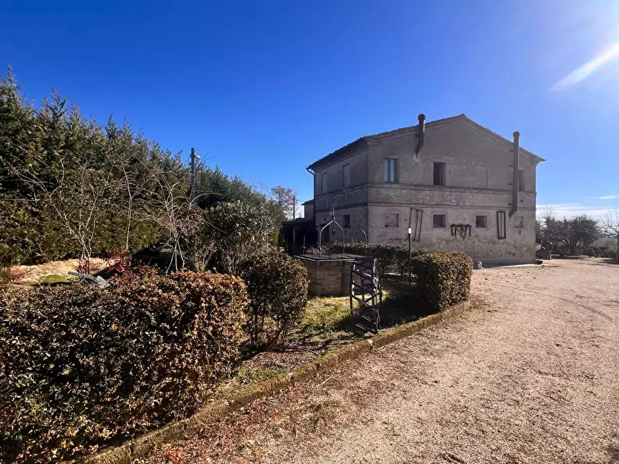 Immagine 11 di Attività commerciale in vendita  in c.da Montefiore a Recanati