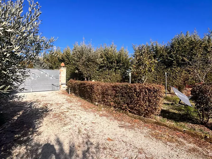 Immagine 12 di Attività commerciale in vendita  in c.da Montefiore a Recanati