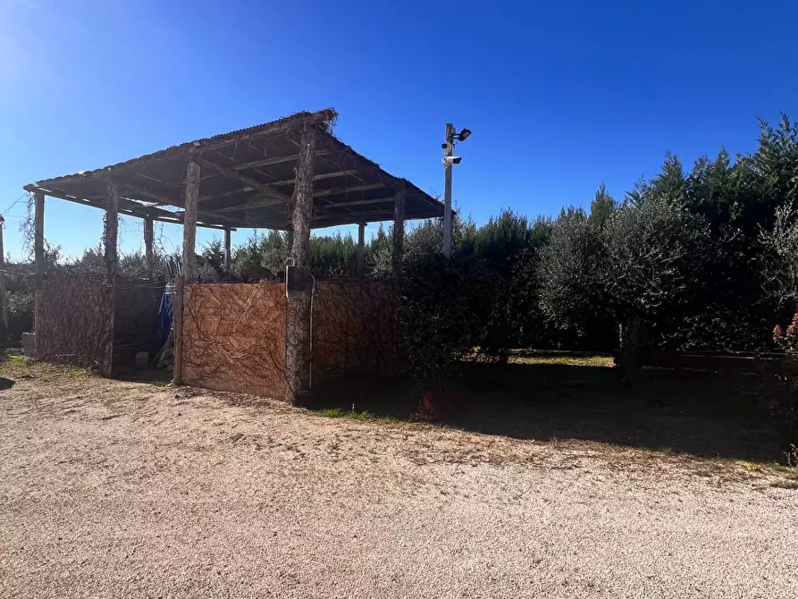 Immagine 13 di Attività commerciale in vendita  in c.da Montefiore a Recanati