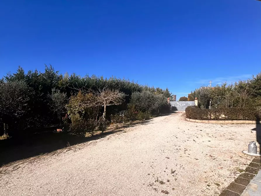 Immagine 14 di Attività commerciale in vendita  in c.da Montefiore a Recanati