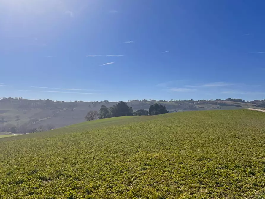 Immagine 3 di Terreno agricolo in vendita  in C.da Montefiore a Recanati