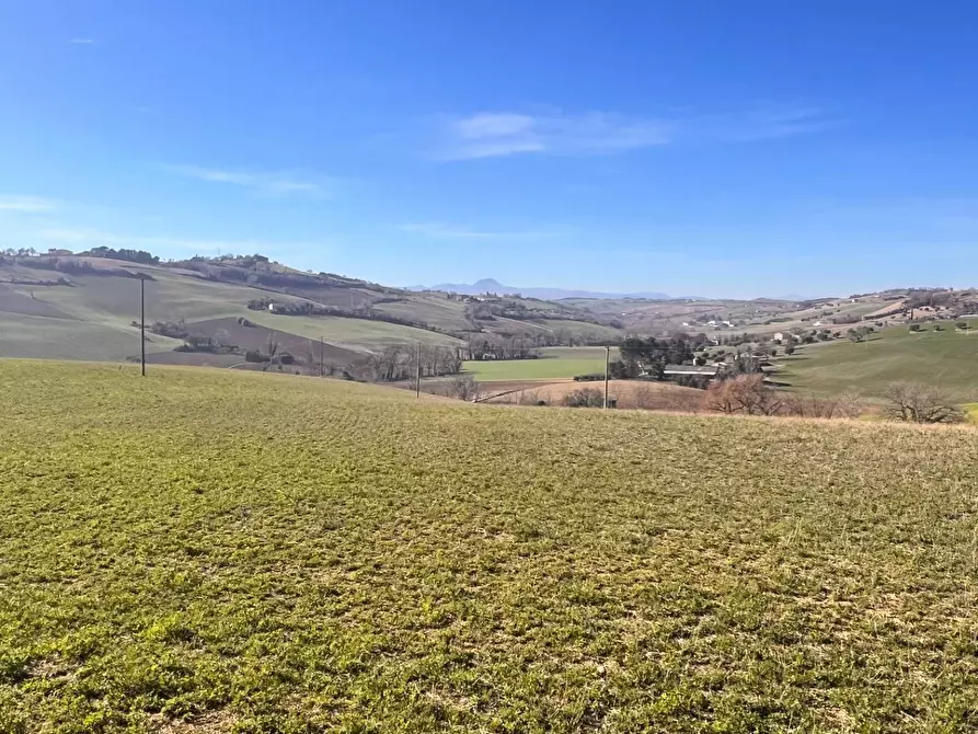 Immagine 5 di Terreno agricolo in vendita  in C.da Montefiore a Recanati