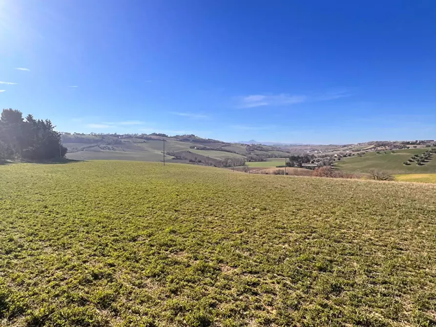 Immagine 6 di Terreno agricolo in vendita  in C.da Montefiore a Recanati