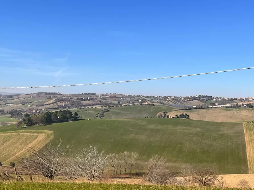 Immagine 1 di Terreno agricolo in vendita  in C.da Montefiore a Recanati