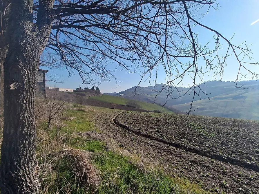 Immagine 4 di Casa indipendente in vendita  in via Sole a Montappone