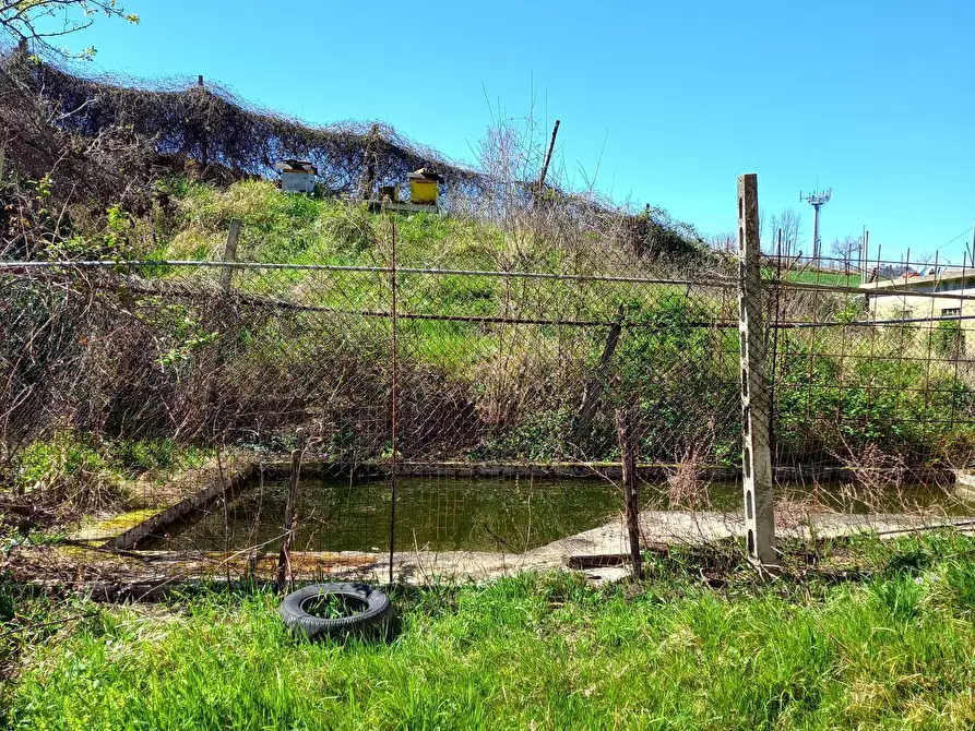 Immagine 6 di Casa indipendente in vendita  in Contrada San Salvatore Tenna a Santa Vittoria In Matenano