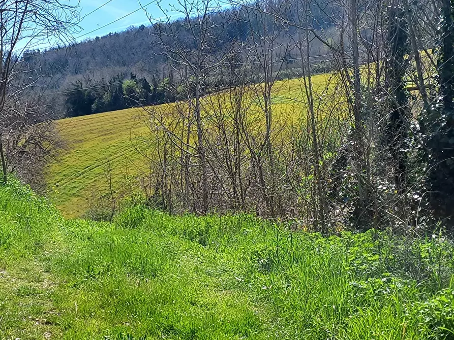Immagine 22 di Casa indipendente in vendita  in Contrada Valli a Servigliano