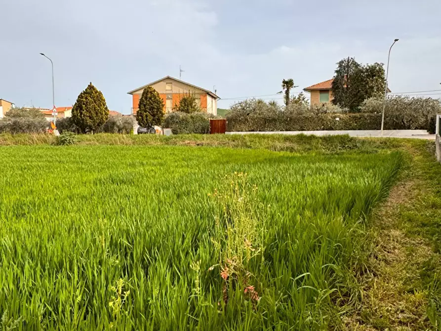 Immagine 1 di Terreno residenziale in vendita  in luce cretarola a Sant'elpidio A Mare