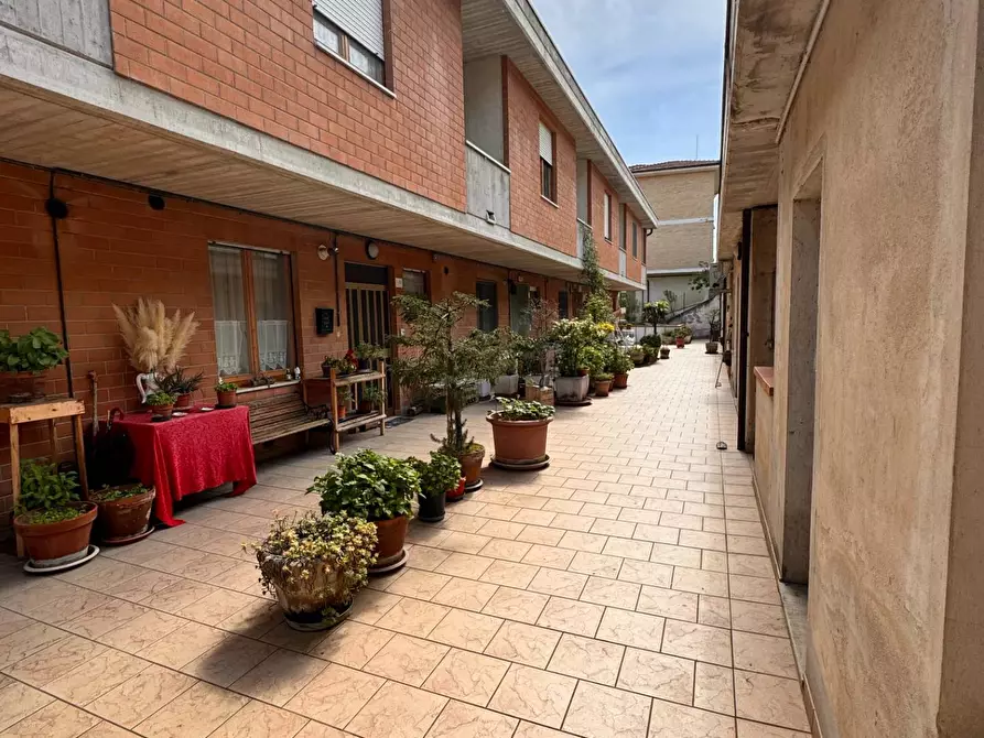 Immagine 25 di Villetta a schiera in vendita  in Borgo Guglielmo Oberdan a Monte Vidon Corrado