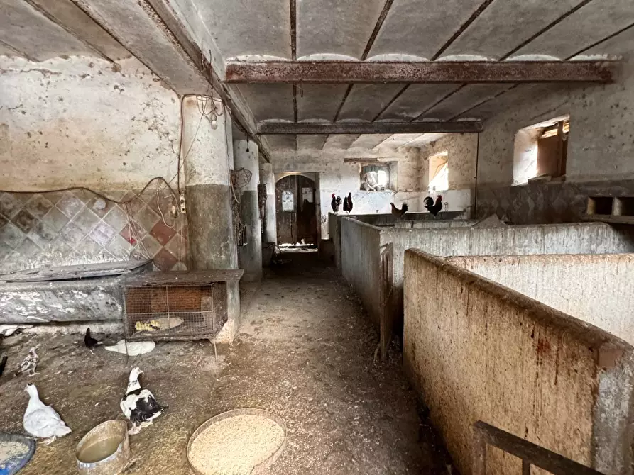 Immagine 11 di Casa indipendente in vendita  in Contrada Maltignano a Petritoli