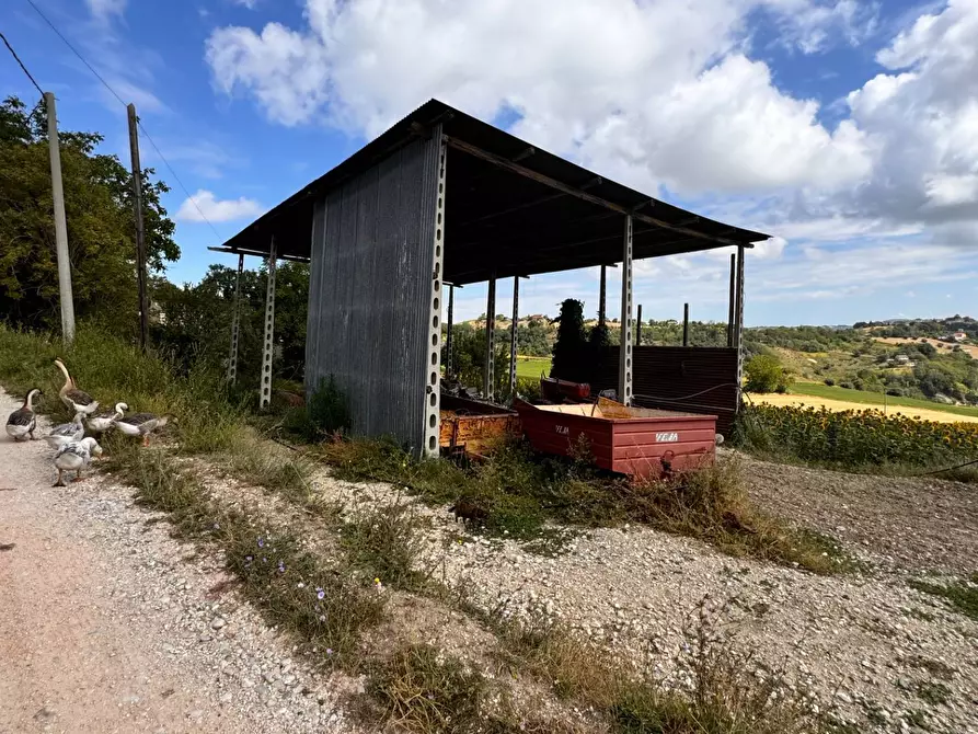 Immagine 12 di Casa indipendente in vendita  in Contrada Maltignano a Petritoli
