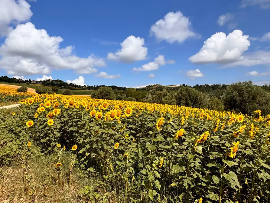 Immagine 15 di Casa indipendente in vendita  in Contrada Maltignano a Petritoli