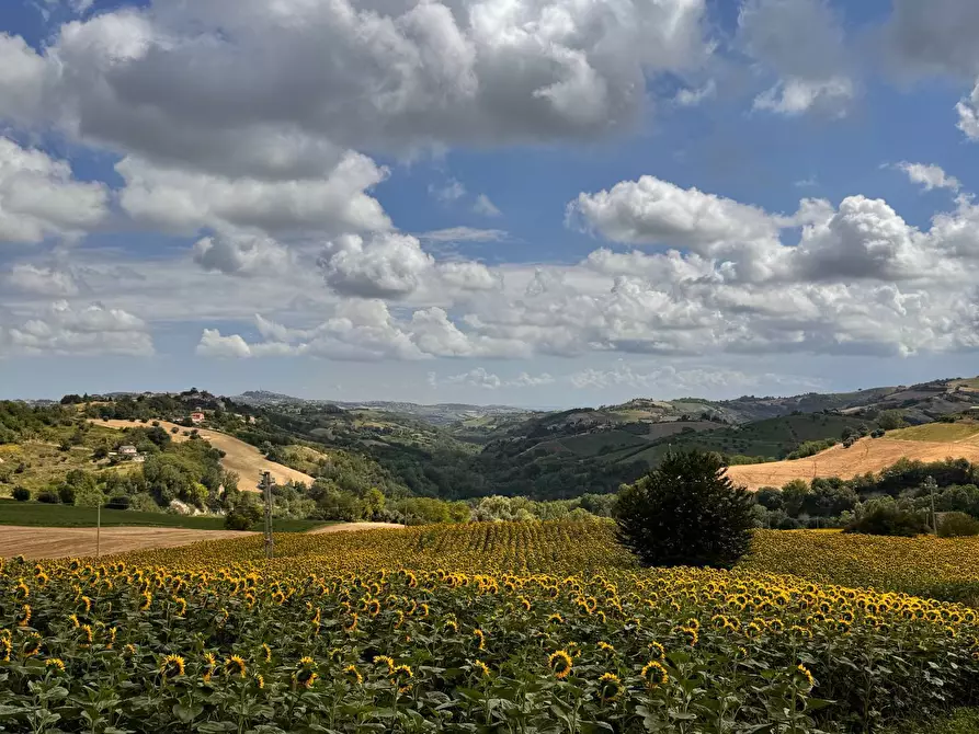 Immagine 16 di Casa indipendente in vendita  in Contrada Maltignano a Petritoli