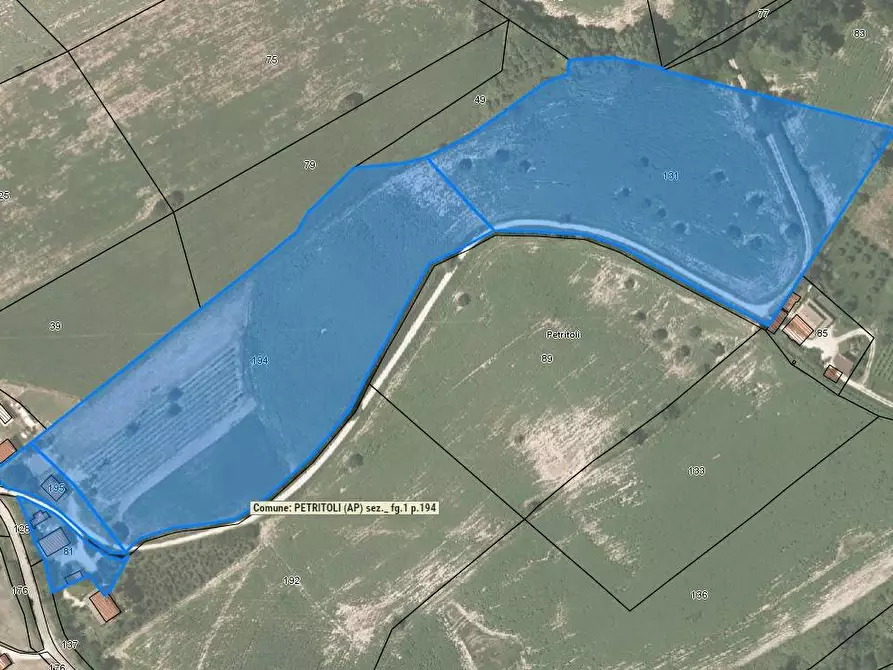 Immagine 18 di Casa indipendente in vendita  in Contrada Maltignano a Petritoli