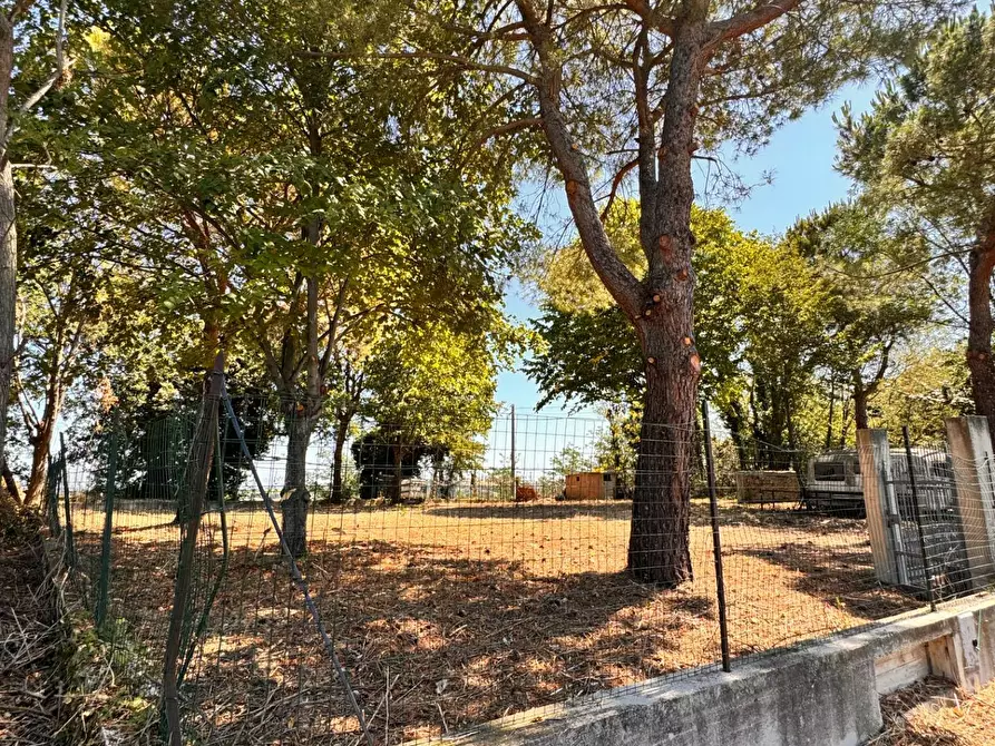 Immagine 3 di Terreno residenziale in vendita  a Montegiorgio