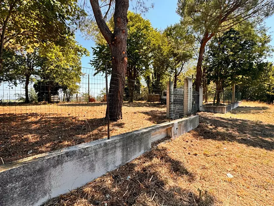 Immagine 4 di Terreno residenziale in vendita  a Montegiorgio