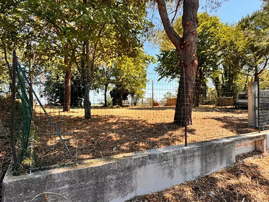 Immagine 5 di Terreno residenziale in vendita  a Montegiorgio
