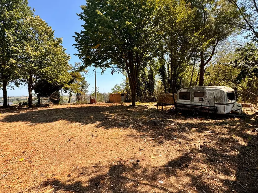 Immagine 6 di Terreno residenziale in vendita  a Montegiorgio