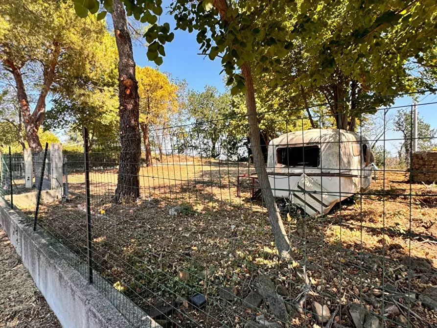 Immagine 11 di Terreno residenziale in vendita  a Montegiorgio