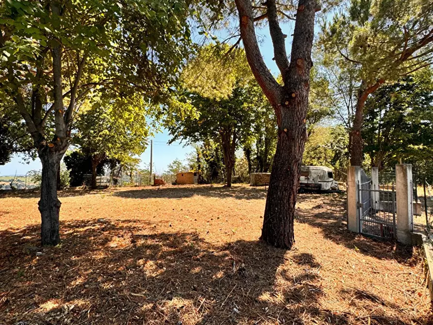 Immagine 7 di Terreno residenziale in vendita  a Montegiorgio
