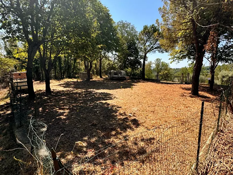 Immagine 2 di Terreno residenziale in vendita  a Montegiorgio
