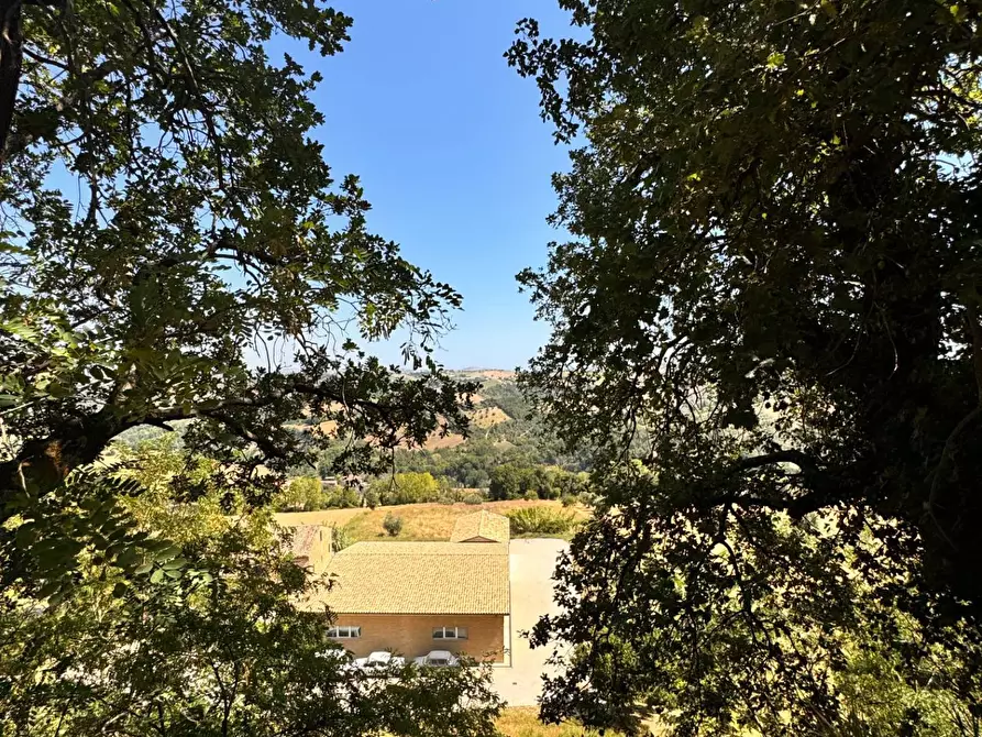 Immagine 8 di Terreno residenziale in vendita  a Montegiorgio
