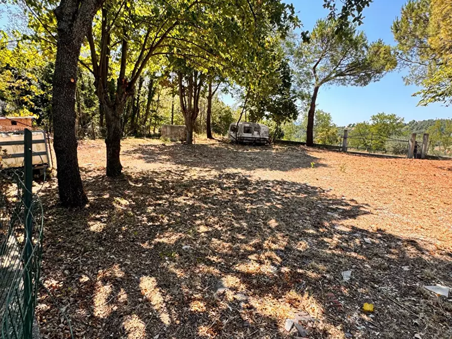Immagine 9 di Terreno residenziale in vendita  a Montegiorgio